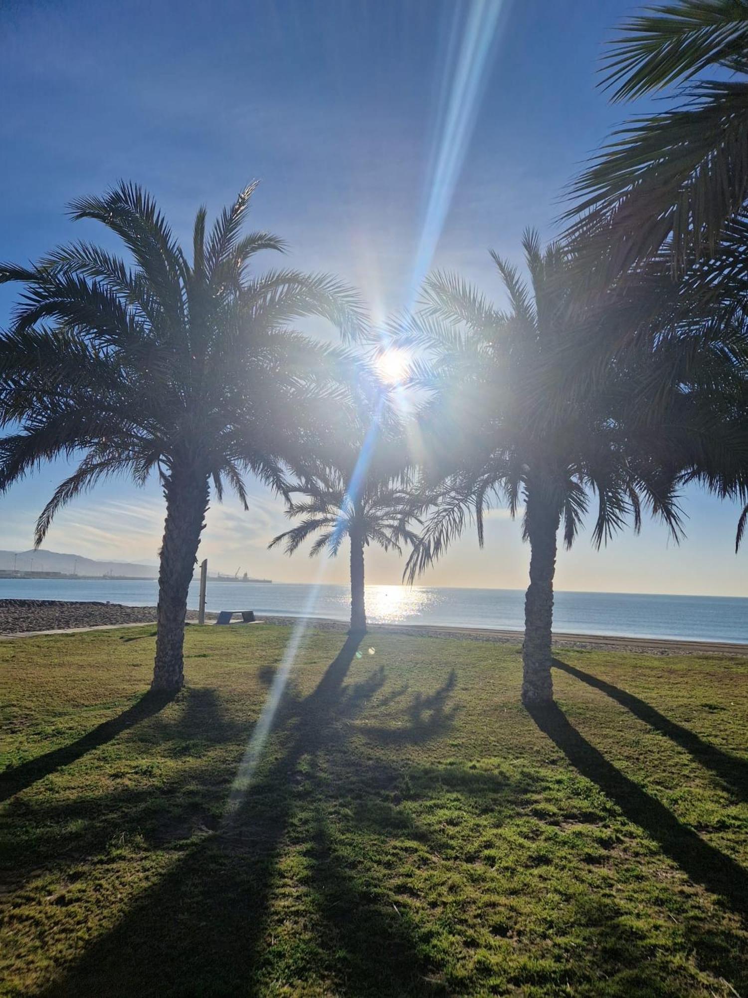 מאלגה La Maison Del Mar Guest House מראה חיצוני תמונה